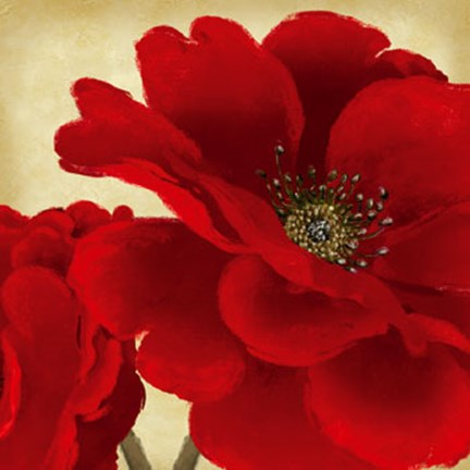 Framed Red Peony I Print