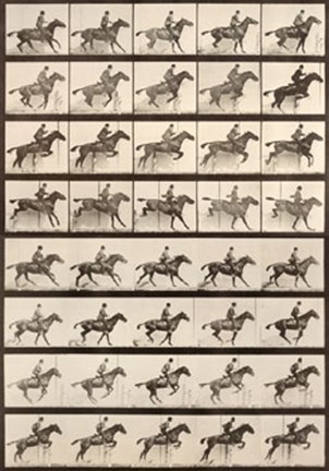 Framed Jumping a Hurdle Print