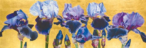 Framed Blue Lustre Print