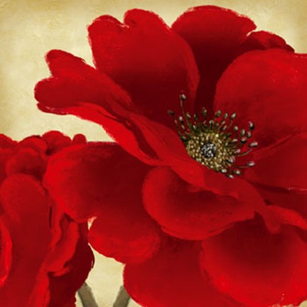 Framed Red Peony I Print