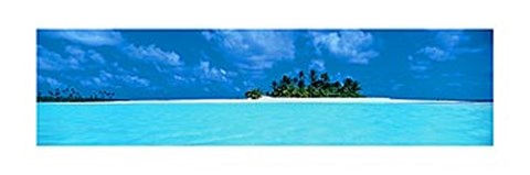 Framed Island Tropics Print