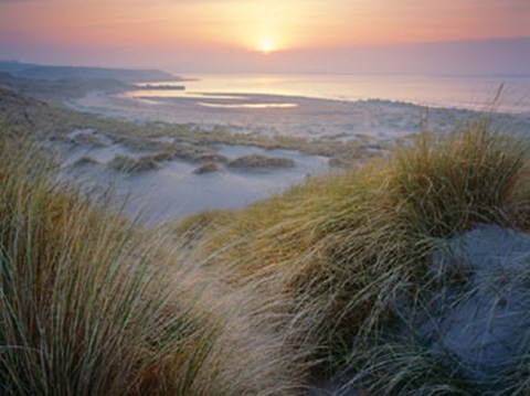 Framed Budle, Misty Sunset Print