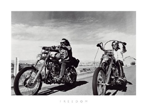 Framed Freedom Print