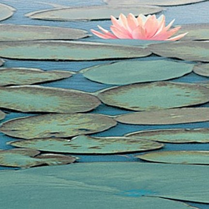 Framed Lily Pool III Print