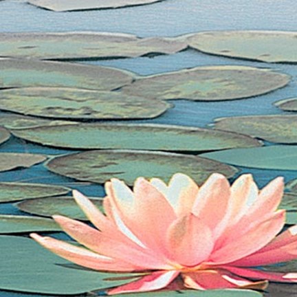 Framed Lily Pool IV Print