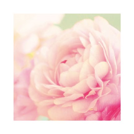 Framed Bloom Print