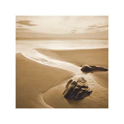 Framed Sandy Mouth Print