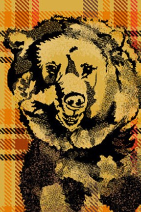 Framed Plaid Bear Print