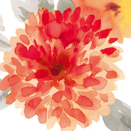 Framed Peach Flower I Print