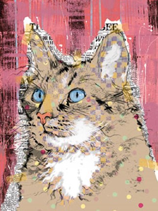 Framed Poppet Cat IV Print