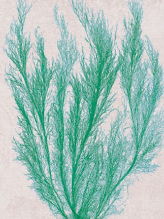 Framed Emerald Sea IV Print