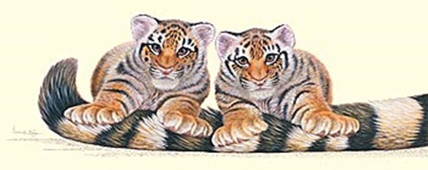 Framed Stripes Print