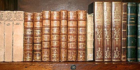 Framed Biblioteca II Print