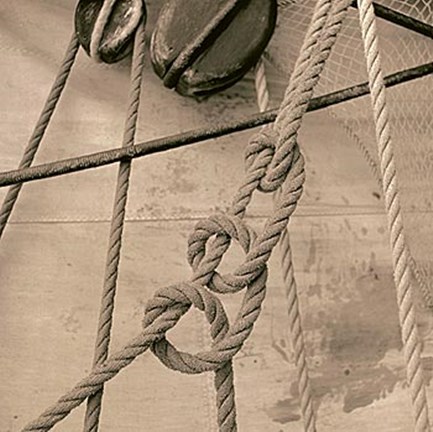 Framed Nautical Aspect V Print
