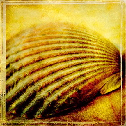 Framed At the Seashore I Print