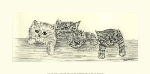 Framed Over The Fence II Print