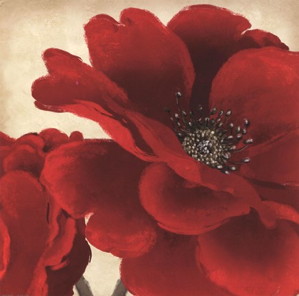 Framed Red Peony I Print