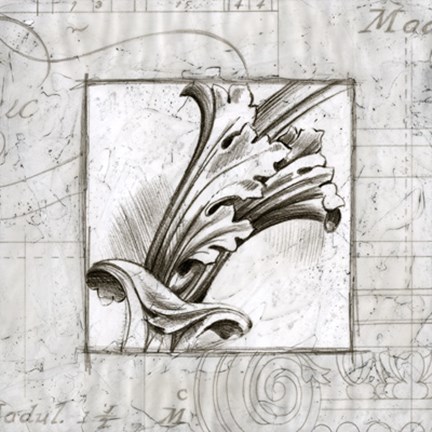 Framed Acanthus Detail I Print