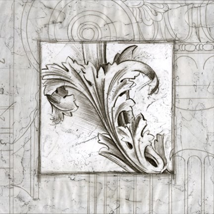 Framed Acanthus Detail III Print