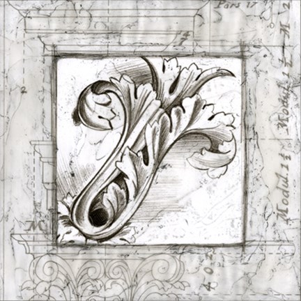 Framed Acanthus Detail IV Print