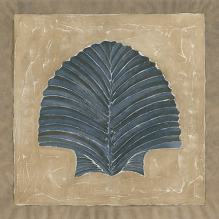 Framed Sandy Shore II Print