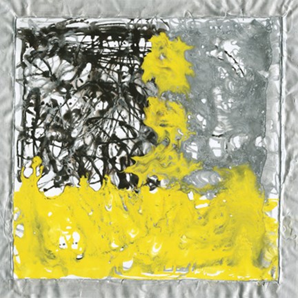 Framed Liquid Color Print