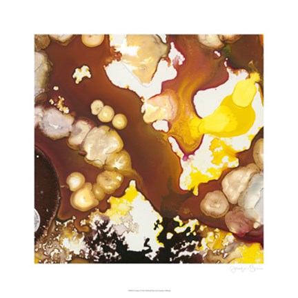 Framed Geodesic II Print