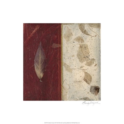 Framed Earthen Textures XI Print