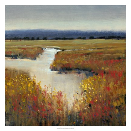 Framed Marsh Land I Print