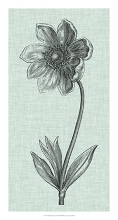 Framed Celadon Beauty II Print