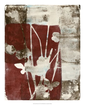 Framed Rustic Blossoms II Print