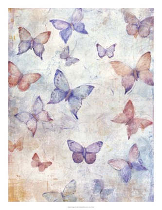 Framed In Flight II Print