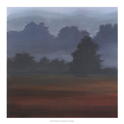 Framed Early Morning Mist I Print