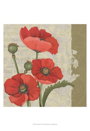 Framed Paris Poppy II Print