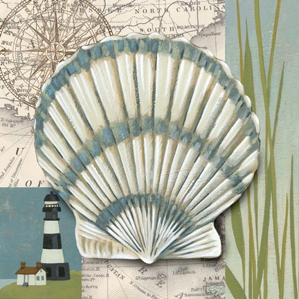 Framed Seaside Shell II Print
