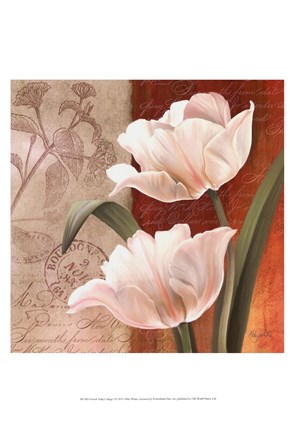 Framed French Tulip Collage I Print