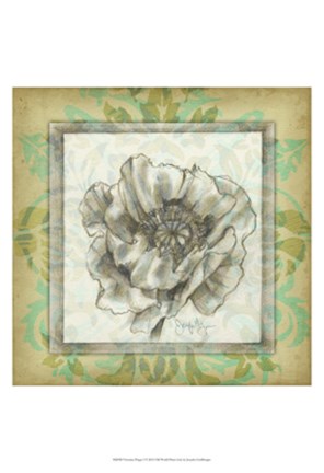 Framed Victorian Poppy I Print