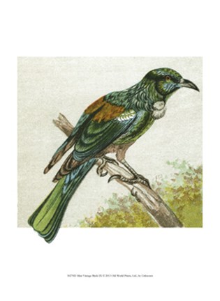 Framed Mini Vintage Birds IX Print