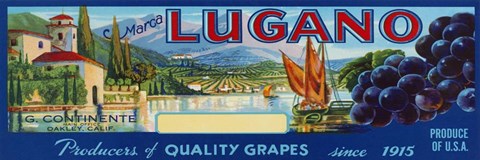 Framed 2-Up Vintage Wine Label III Print