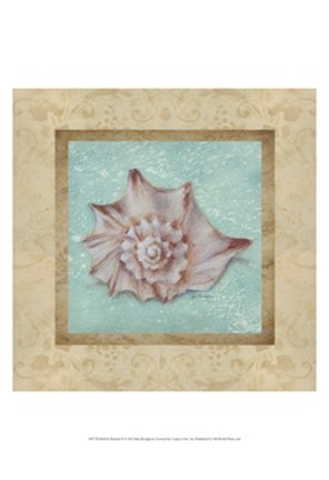 Framed Shell &amp; Damask II Print