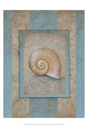 Framed Shell &amp; Damask Stripe I Print
