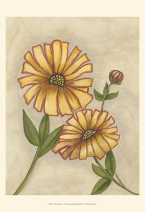 Framed Flower Medley I Print