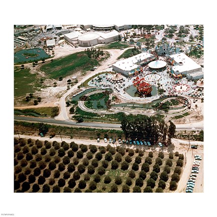 Framed Disneyland and Orange Groves, 1955 Print