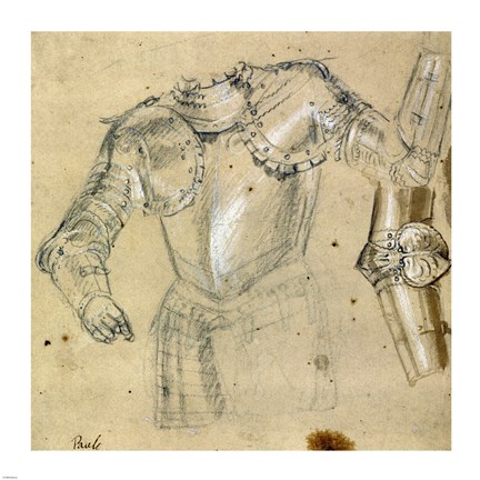 Framed Studies of Armor Print