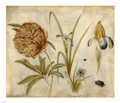 Framed Flowers and Beetles Print