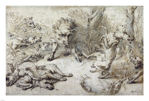 Framed Wild Boar at Bay Print