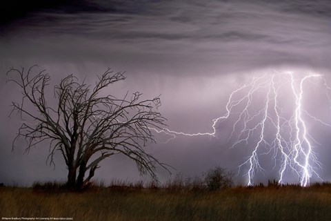 Framed Lightning Print