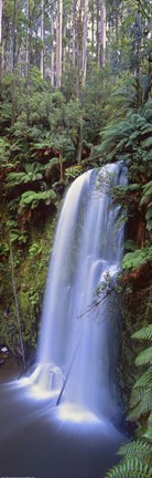Framed Beauchamp Falls Vert II Print