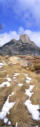Framed Melting Snow Vert Print