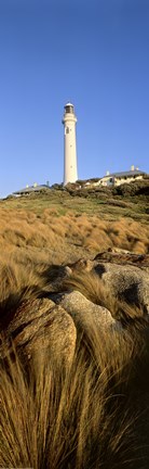 Framed Point Hicks Vert Print